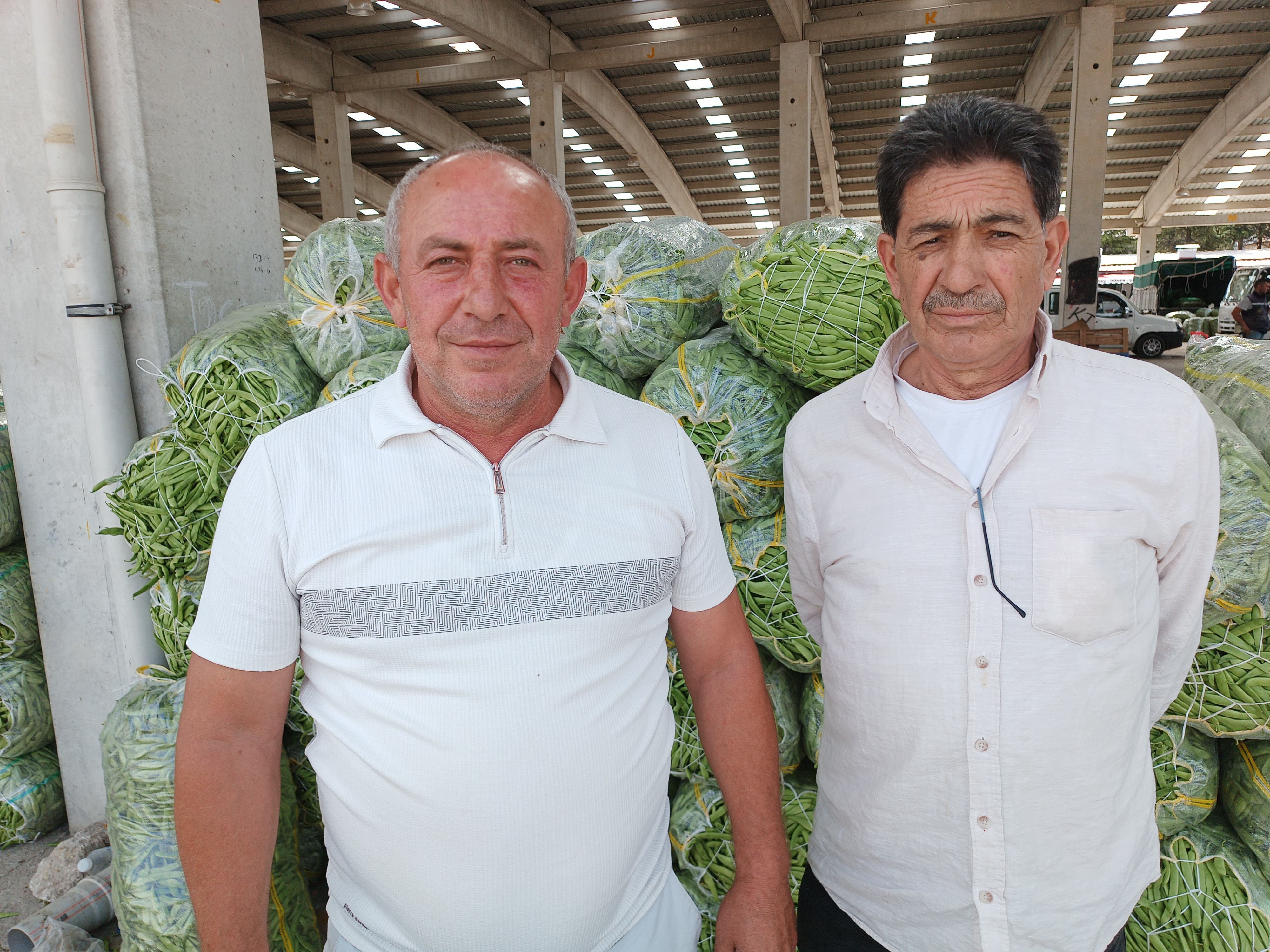 Afyonkarahisar'da Yeşil Fasulye Altın Çağını Yaşıyor