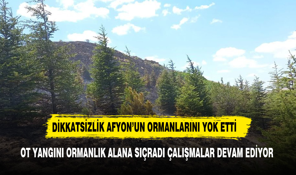 Afyonkarahisar Balmahmut Köyü’nde Ot Yangını Ormanlık Alana Sıçradı