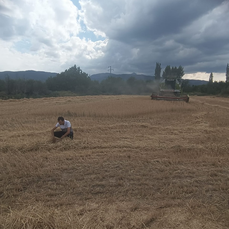 Ekinler Korunuyor Çiftçiler Uyarılıyor