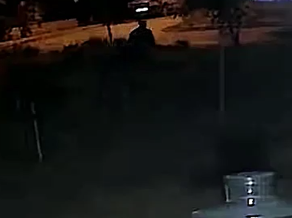 AFYON'DA O MAHALLE'DE AĞAÇ HIRSIZLIĞI!