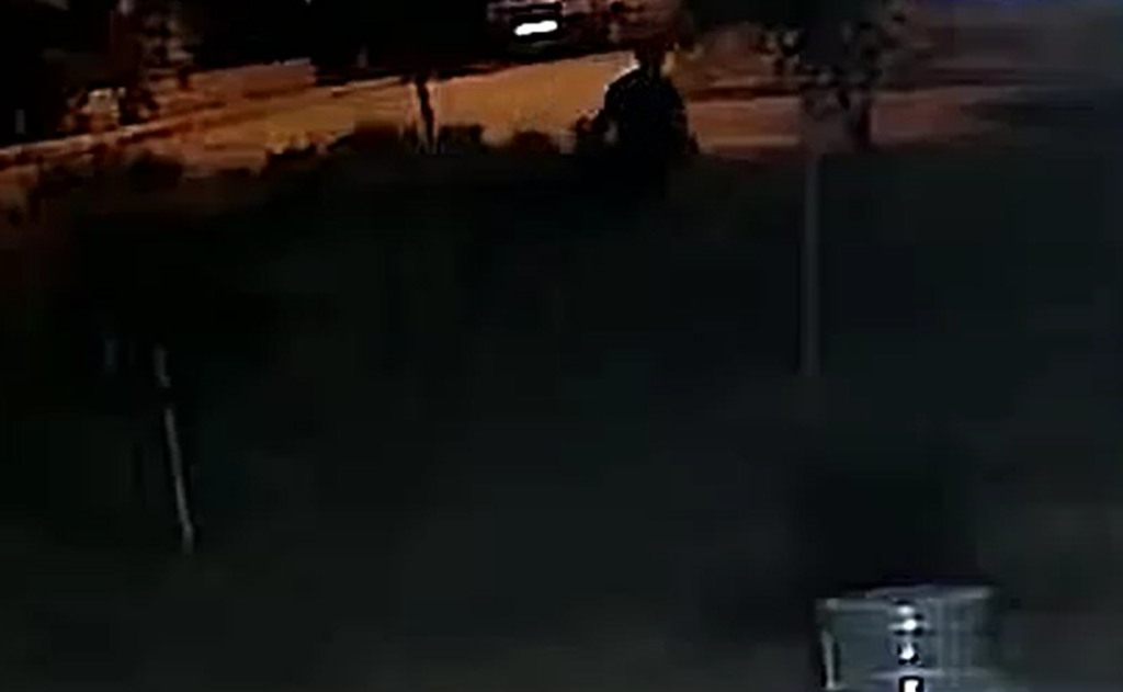 AFYON'DA O MAHALLE'DE AĞAÇ HIRSIZLIĞI!