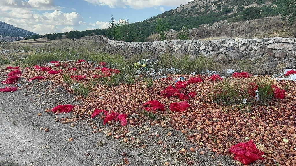 2 TON KURU SOĞANI BOŞ ARAZİYE DÖKÜP GİTTİLER
