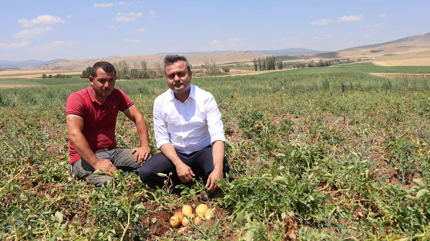 CHP İl Başkanı Erhan: "Patates Üreticileri Zarar Ediyor, Tarım Politikaları Acilen Gözden Geçirilmeli"