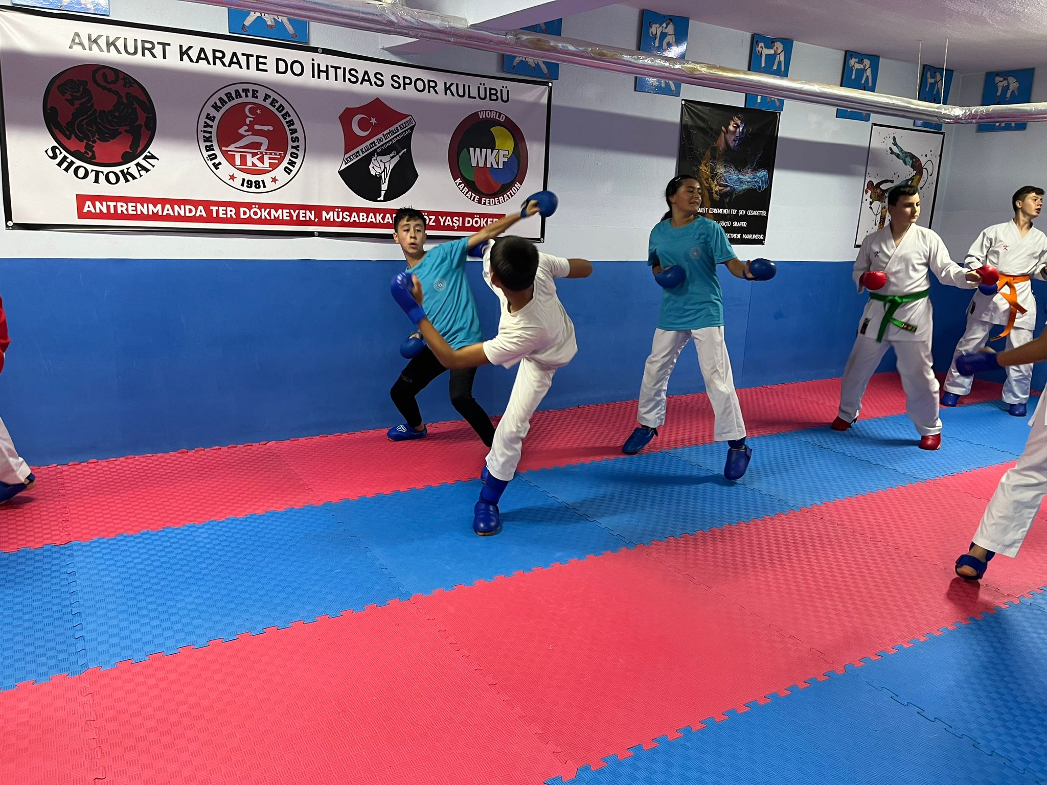 SİYAH KUŞAK SAHİBİ AKKURT'TAN TÜRKELİ GAZETESİNE ÖZEL AÇIKLAMALAR