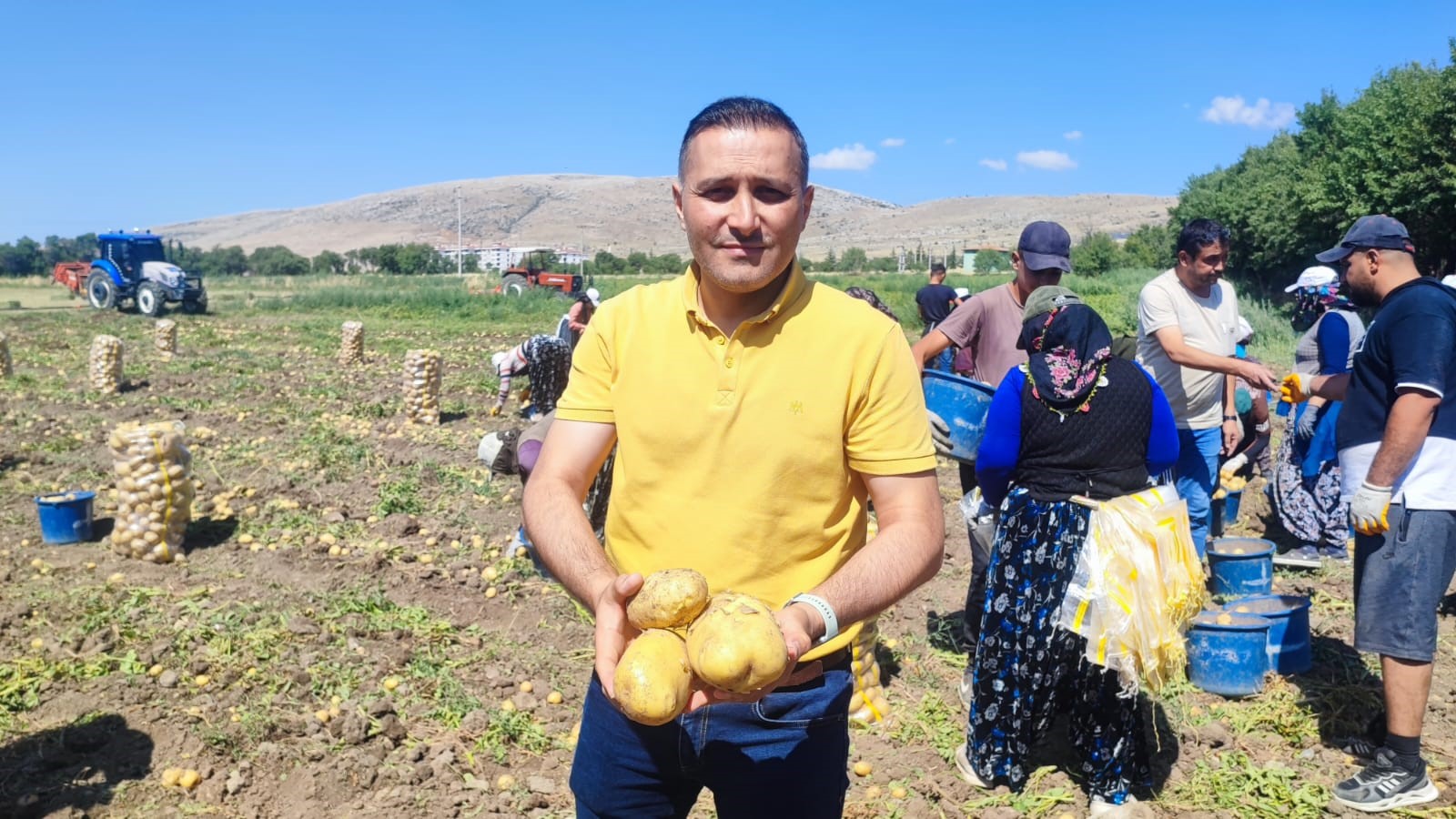 Dinar’da Patates Hasadı Başladı!