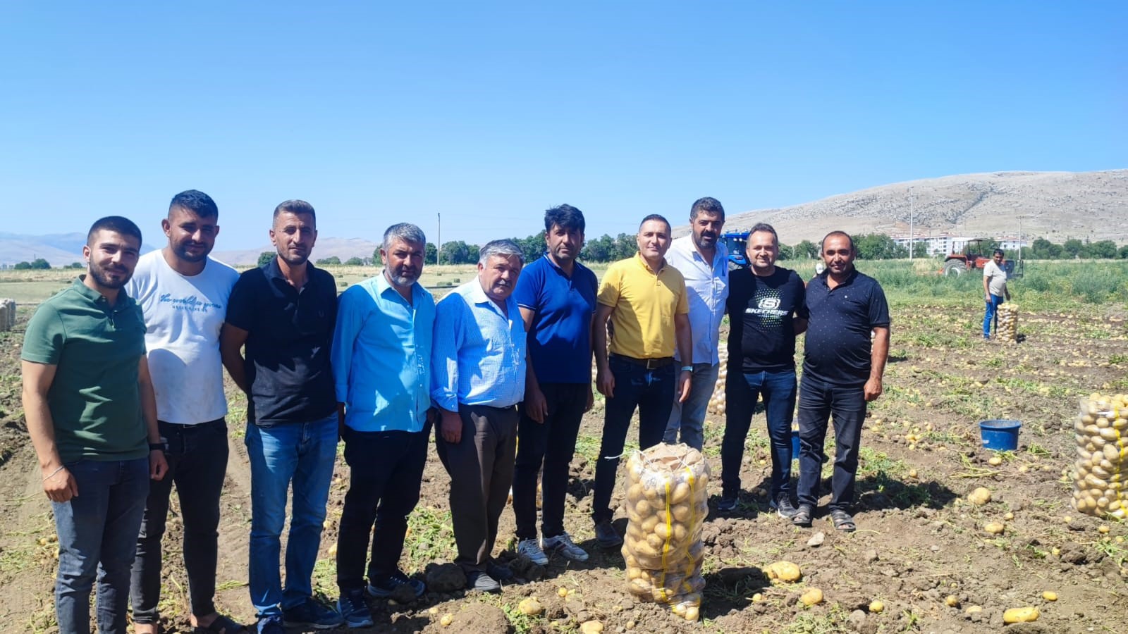 Dinar’da Patates Hasadı Başladı!