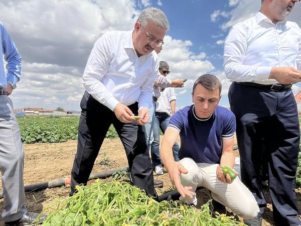 Toprağın Değerini Bilen Vekil Yurdunuseven Hasada Katıldı