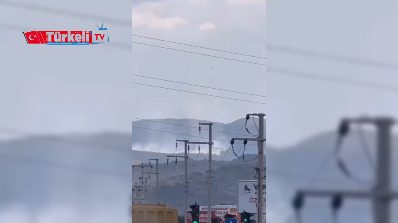 Afyon'da Aynı Gün İki Orman Yangını