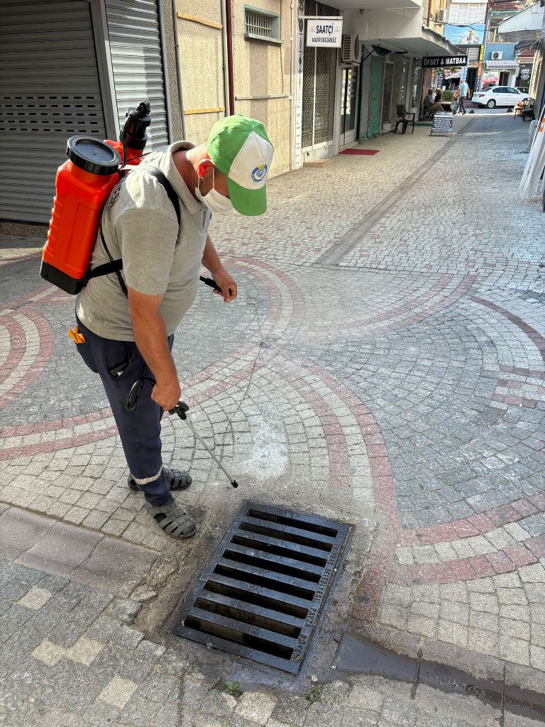 ÇÖP KOVALARI VE MAZGALLAR İLAÇLANIYOR