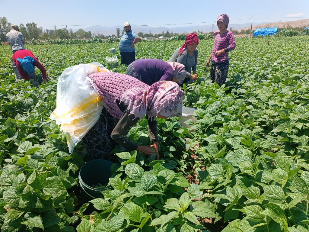 80 TL'DEN BİR ANDA 20'TL'YE DÜŞTÜ