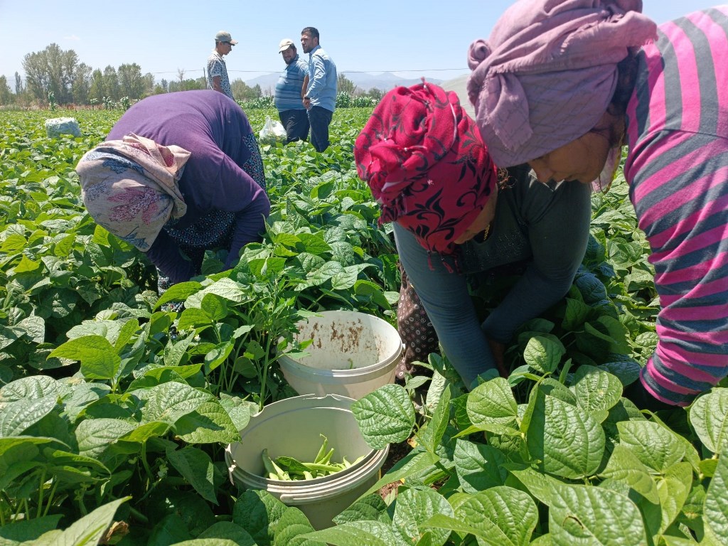 80 TL'DEN BİR ANDA 20'TL'YE DÜŞTÜ