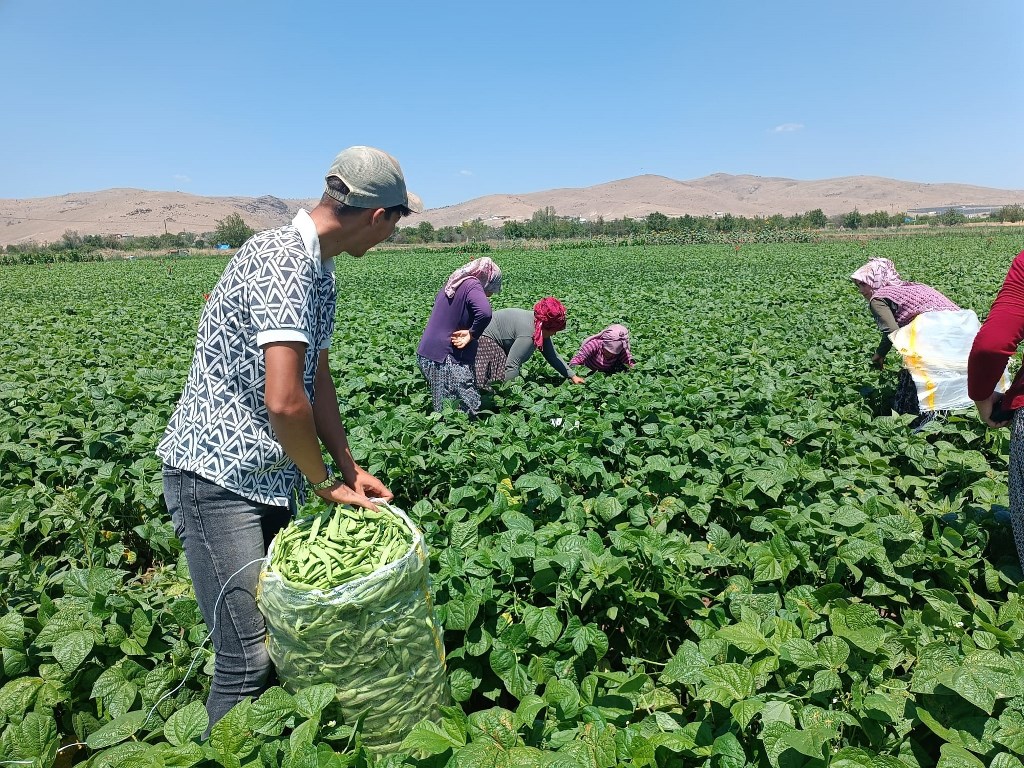 80 TL'DEN BİR ANDA 20'TL'YE DÜŞTÜ
