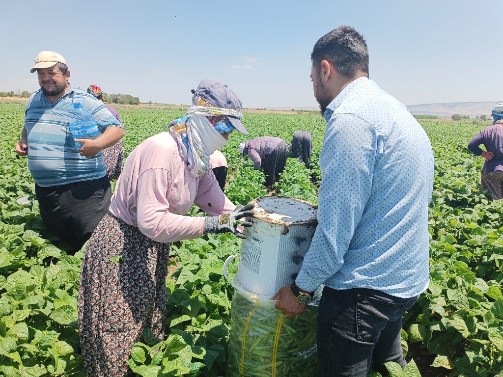 80 TL'DEN BİR ANDA 20'TL'YE DÜŞTÜ