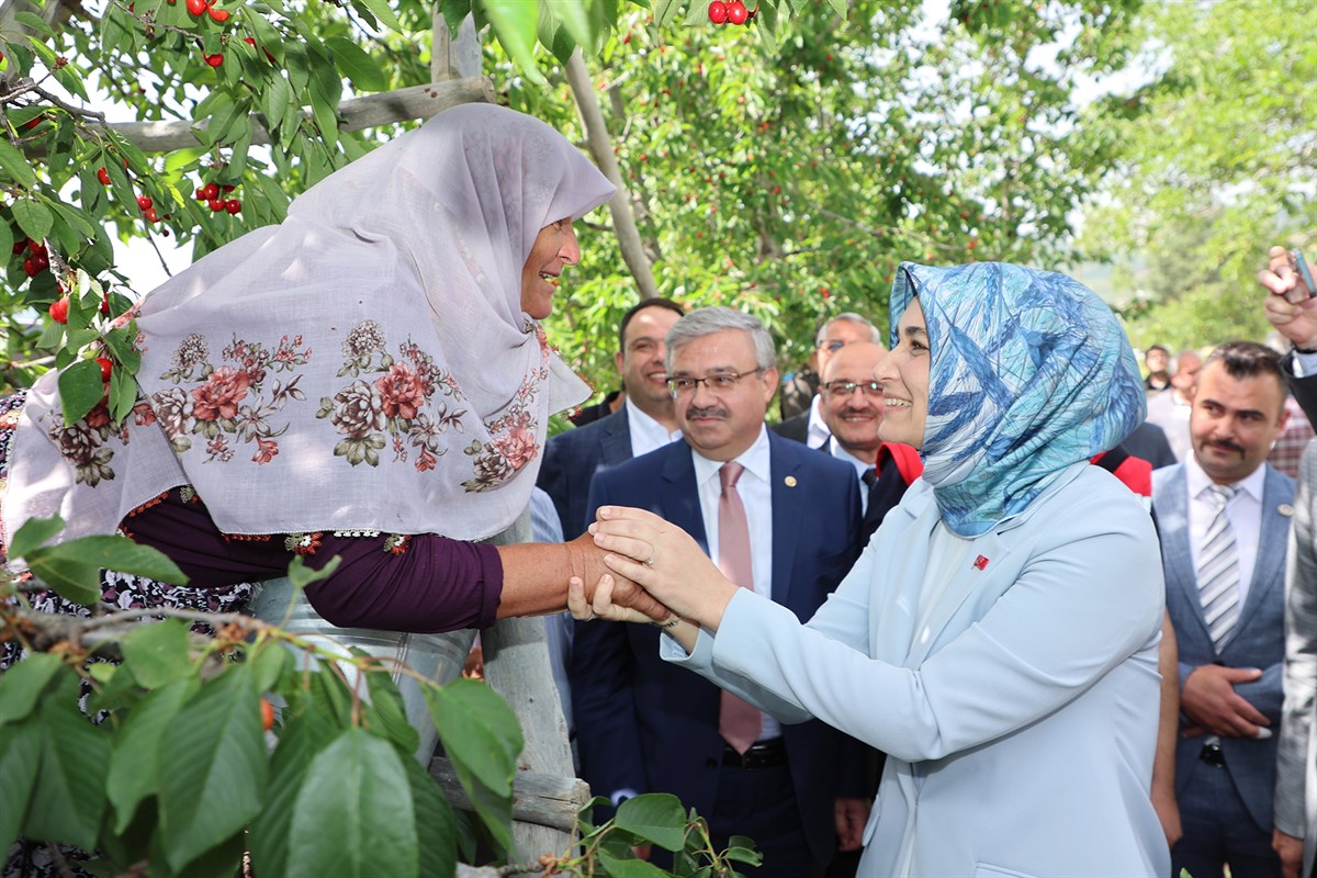 Vali Yiğitbaşı Sözünü Tuttu!