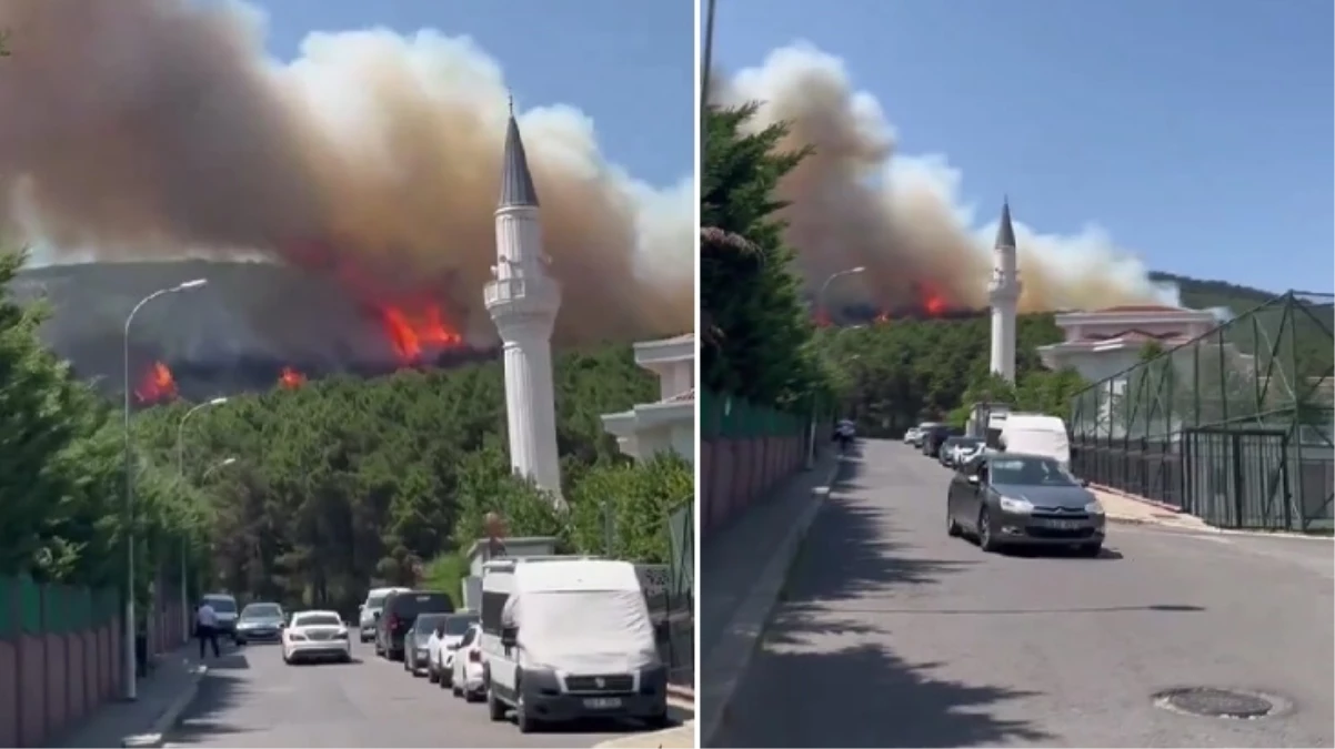 İstanbul'daki Aydos Ormanı'nda yangın çıktı! Alevler yerleşim yerlerine doğru ilerliyor