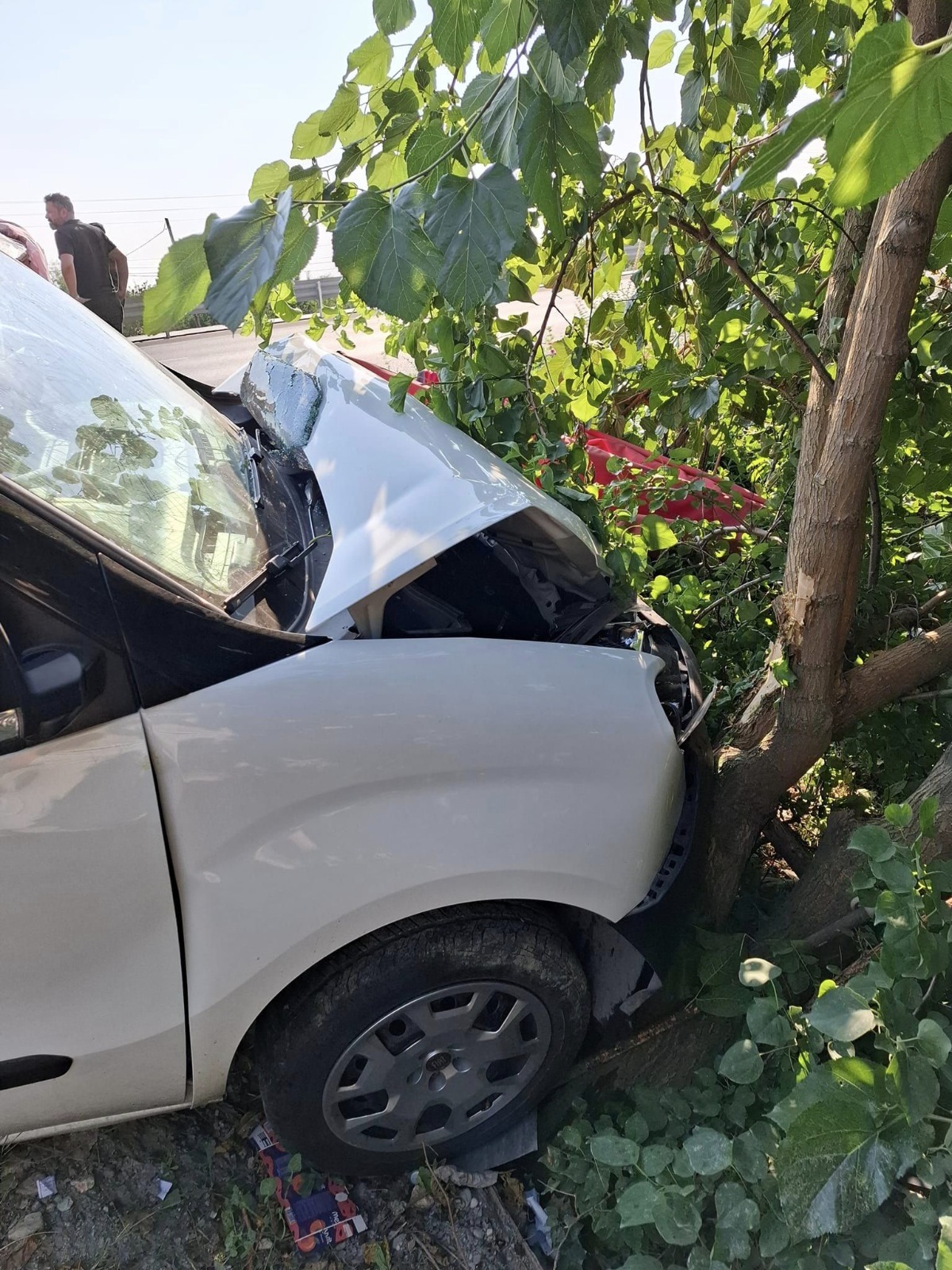 Sultandağı'nda Feci Kaza: Otomobilin ağaca çarparak durabildiği kazada 1 kişi ağır yaralandı