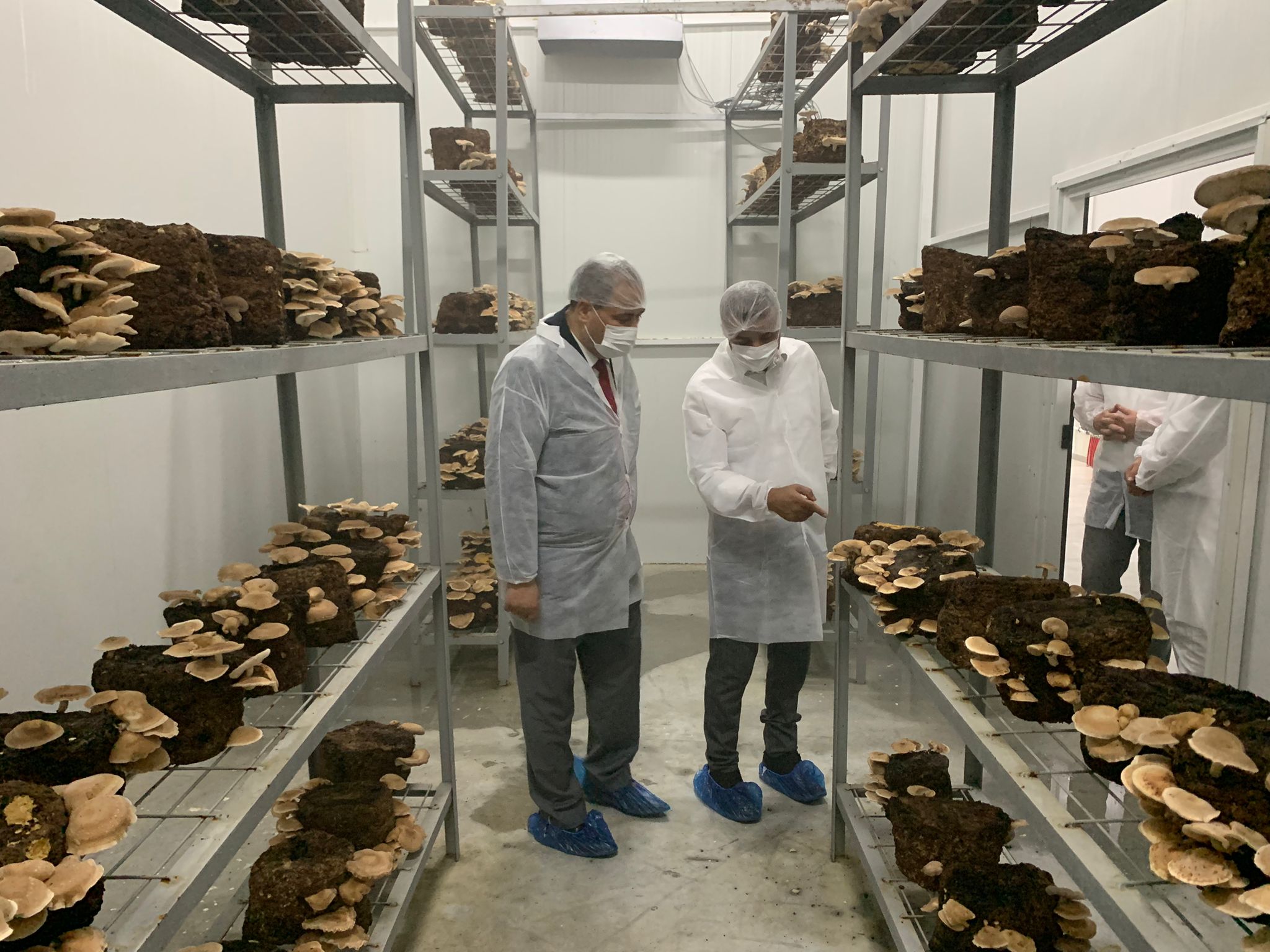Genel Sekreter Vekili Eser Tesisin İşleyişini Gözden Geçirdi