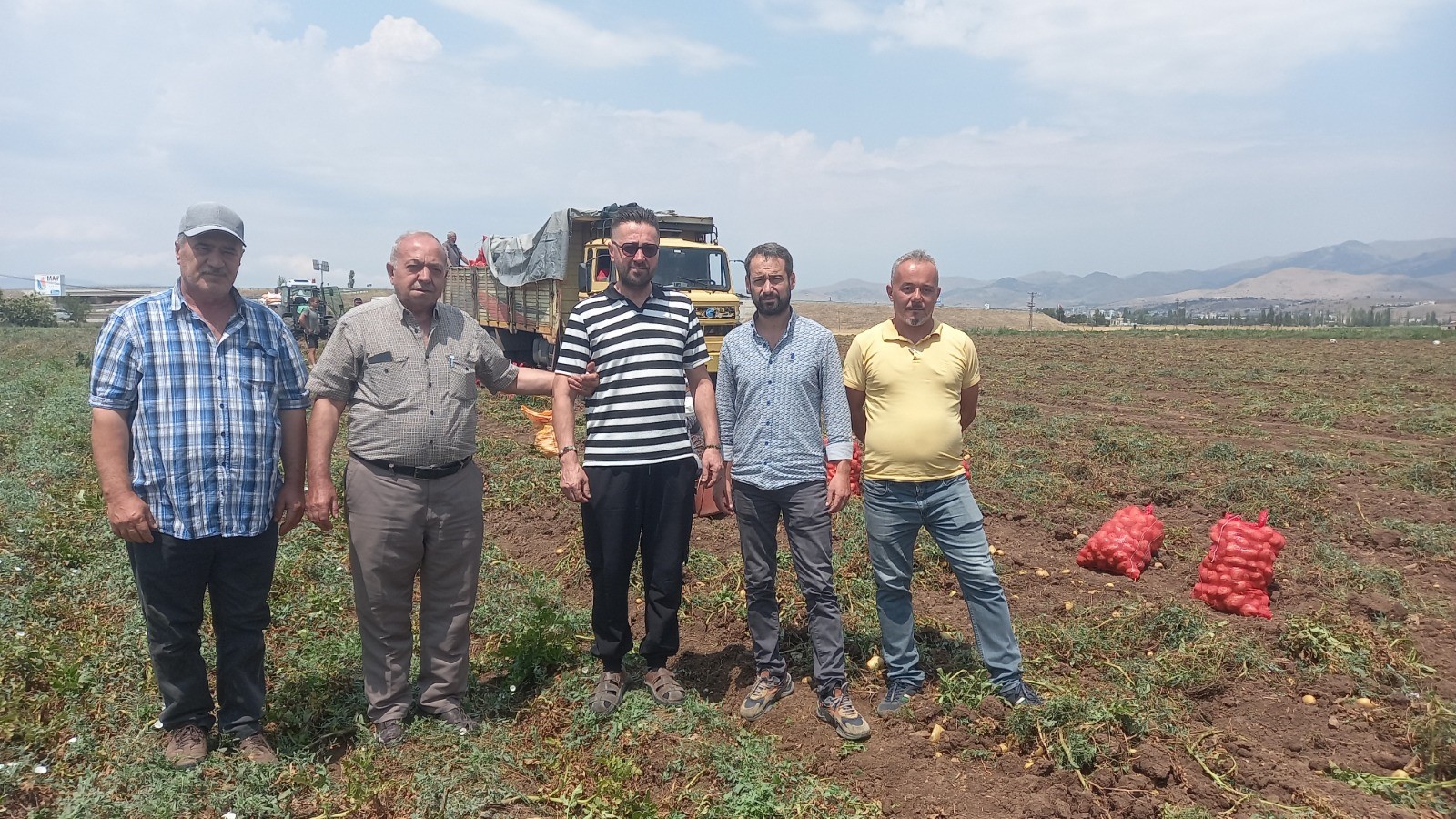 SANDIKLI'DA PATATES HASATI BAŞLADI!