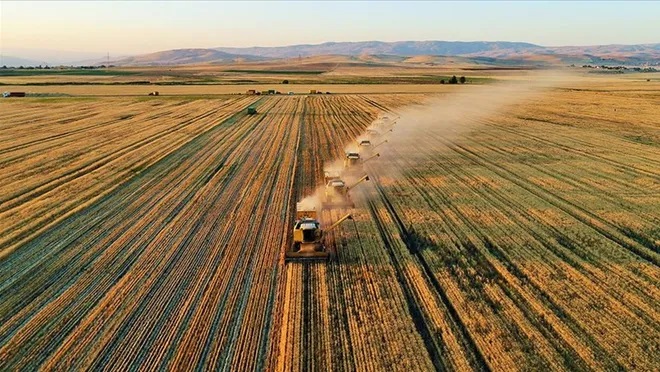 Tarımsal destek ödemelerine ilişkin istatistik bülteninin ilki yayımlandı