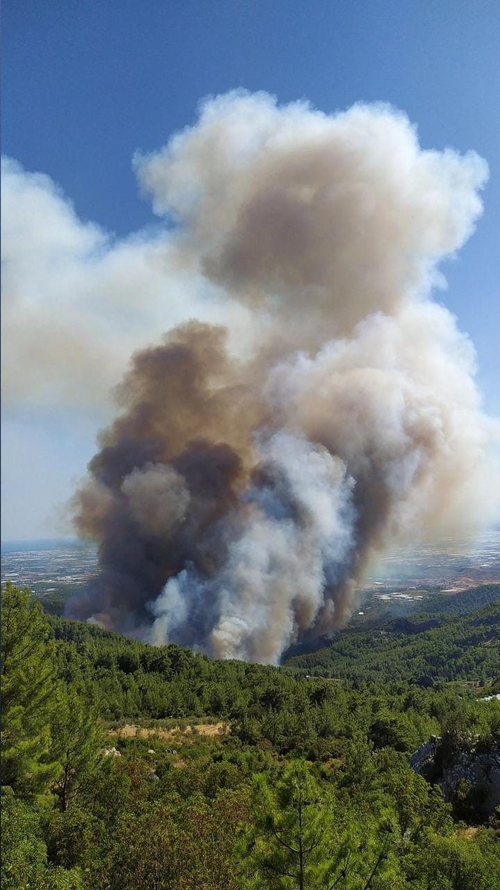 ANTALYA’DA ORMAN YANGINI