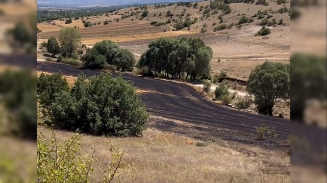Anız Yangını Büyümeden Kontrol Altına Alındı