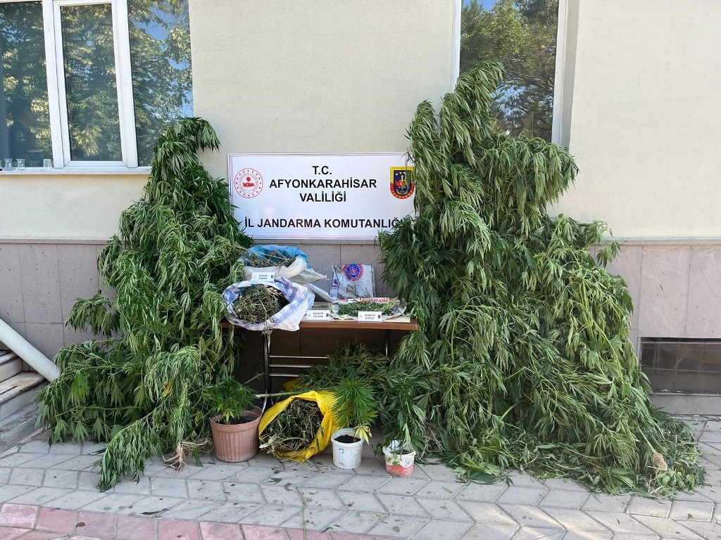 AFYON'UN ÇAY İLÇESİNDE EV VE ARAZİLERİNE KENEVİR EKTİLER