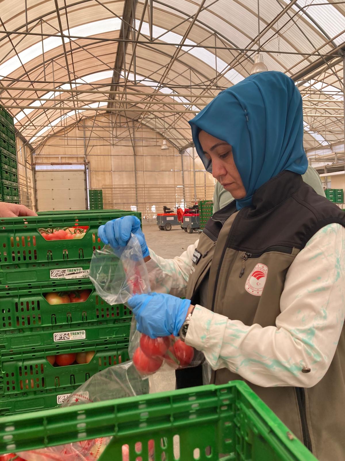 İl Tarım Ekipleri Sahada Üreticinin Yanında