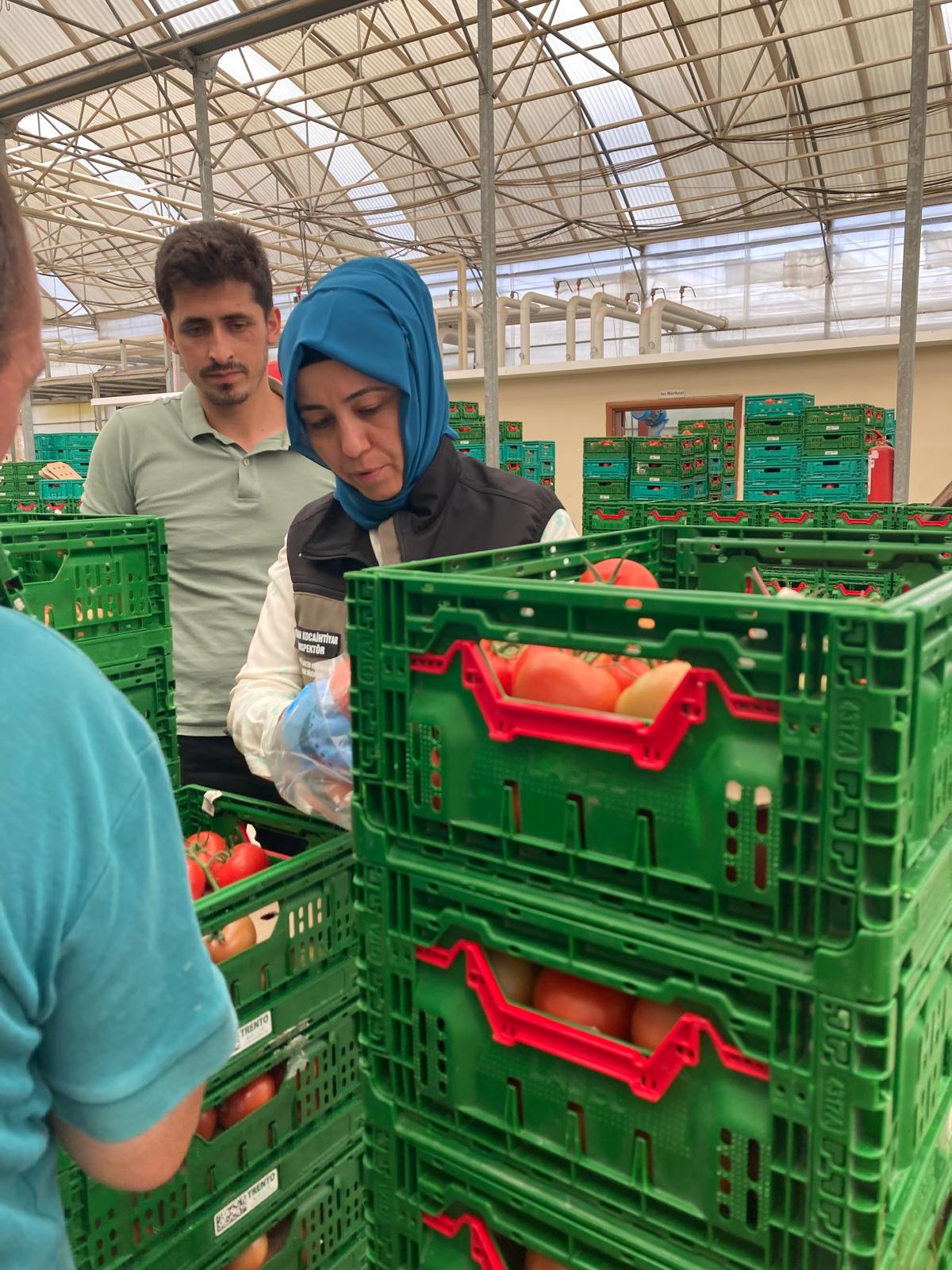 İl Tarım Ekipleri Sahada Üreticinin Yanında