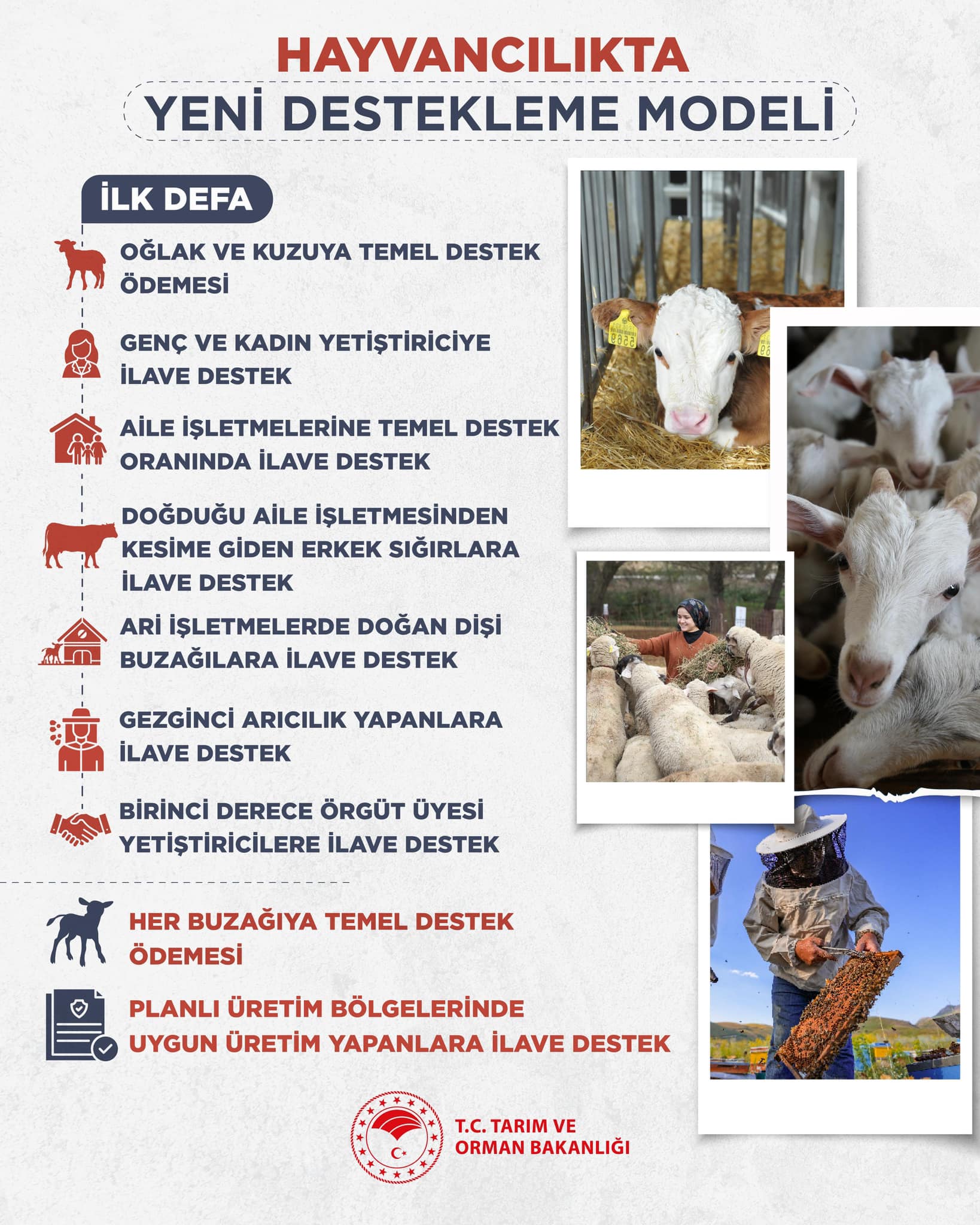 Hayvancılıkta Yeni Destekleme Modelleri Afyon'daki Üreticilere Büyük Kolaylıklar Sağlayacak Detaylar Haberimizde...