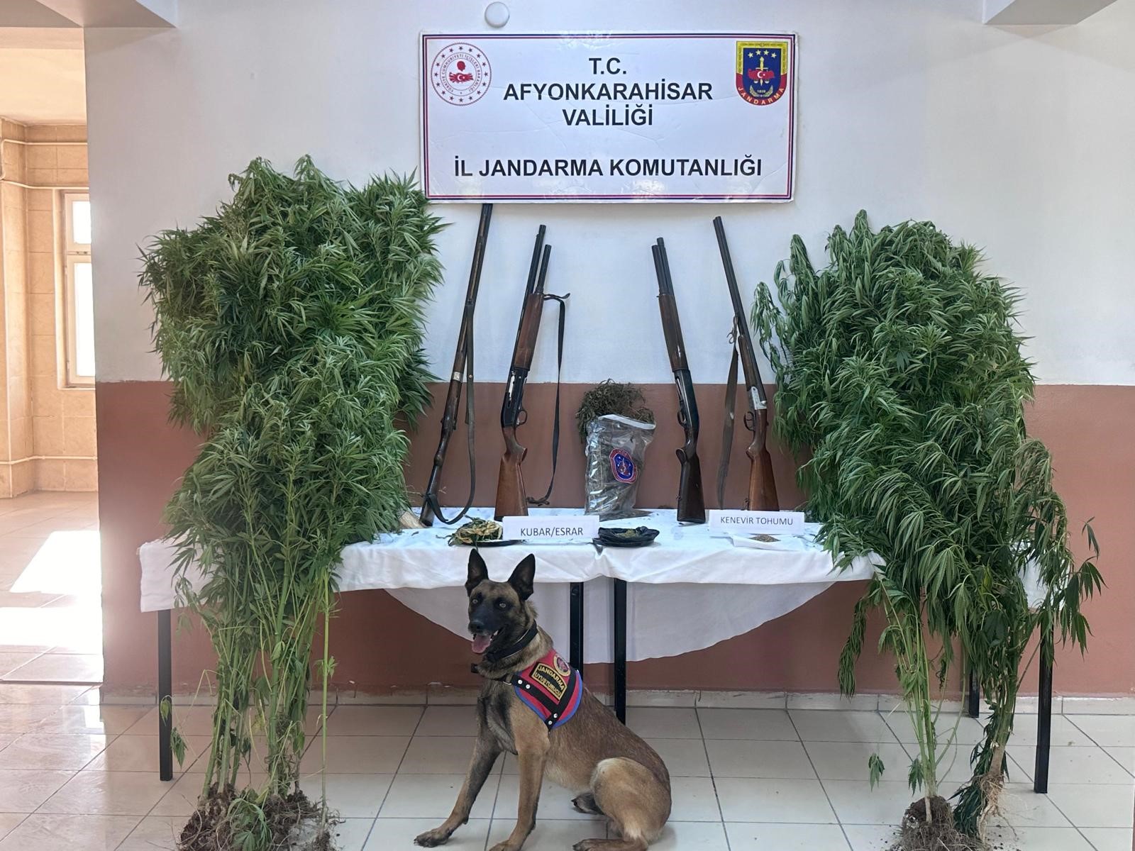 AFYON'DA SOBAYA SAKLANAN ESRARI NARKOTİK KÖPEĞİ BULDU