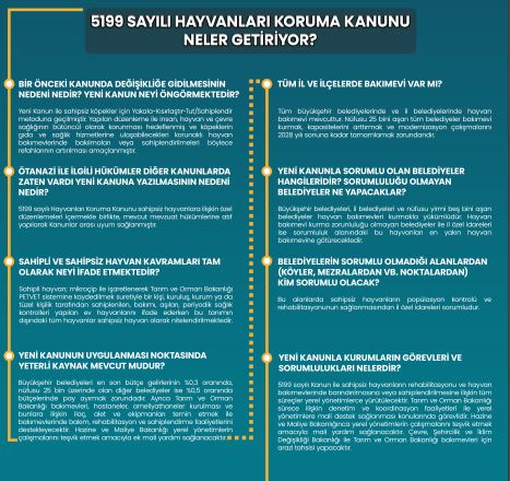 Ülkede Büyük Yankı Bulmuştu İşte Madde Madde O Kanun Haberimizde