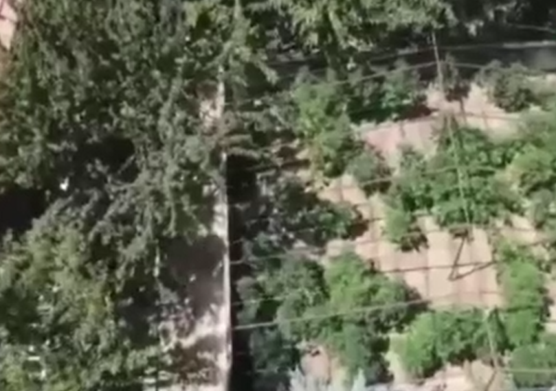 AFYON DAHİL 26 İLDE  "NARKOÇELİK-31" OPERASYONU