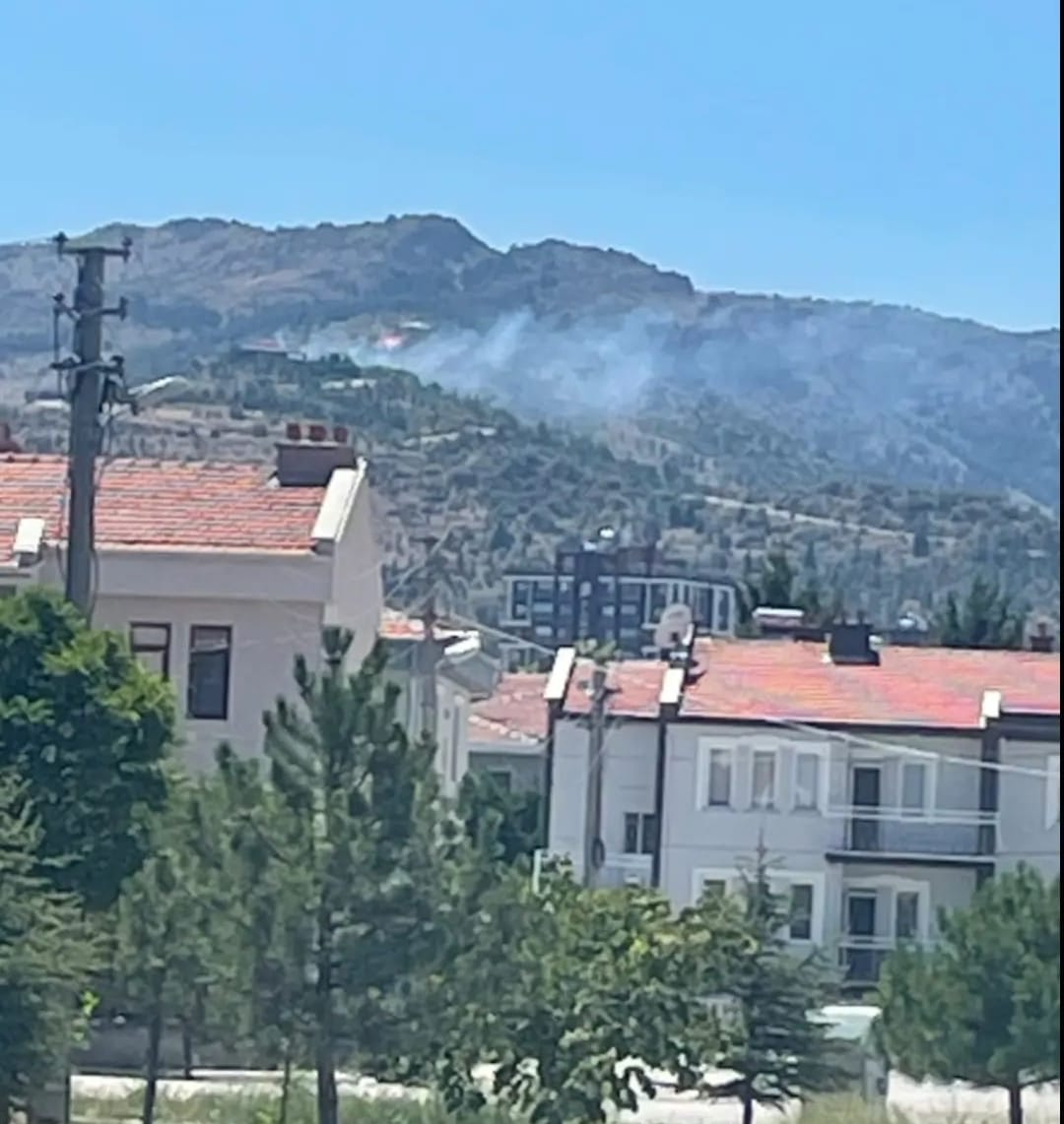 Kent Ormanı’ndaki Yangın Kontrol Altına Alındı!