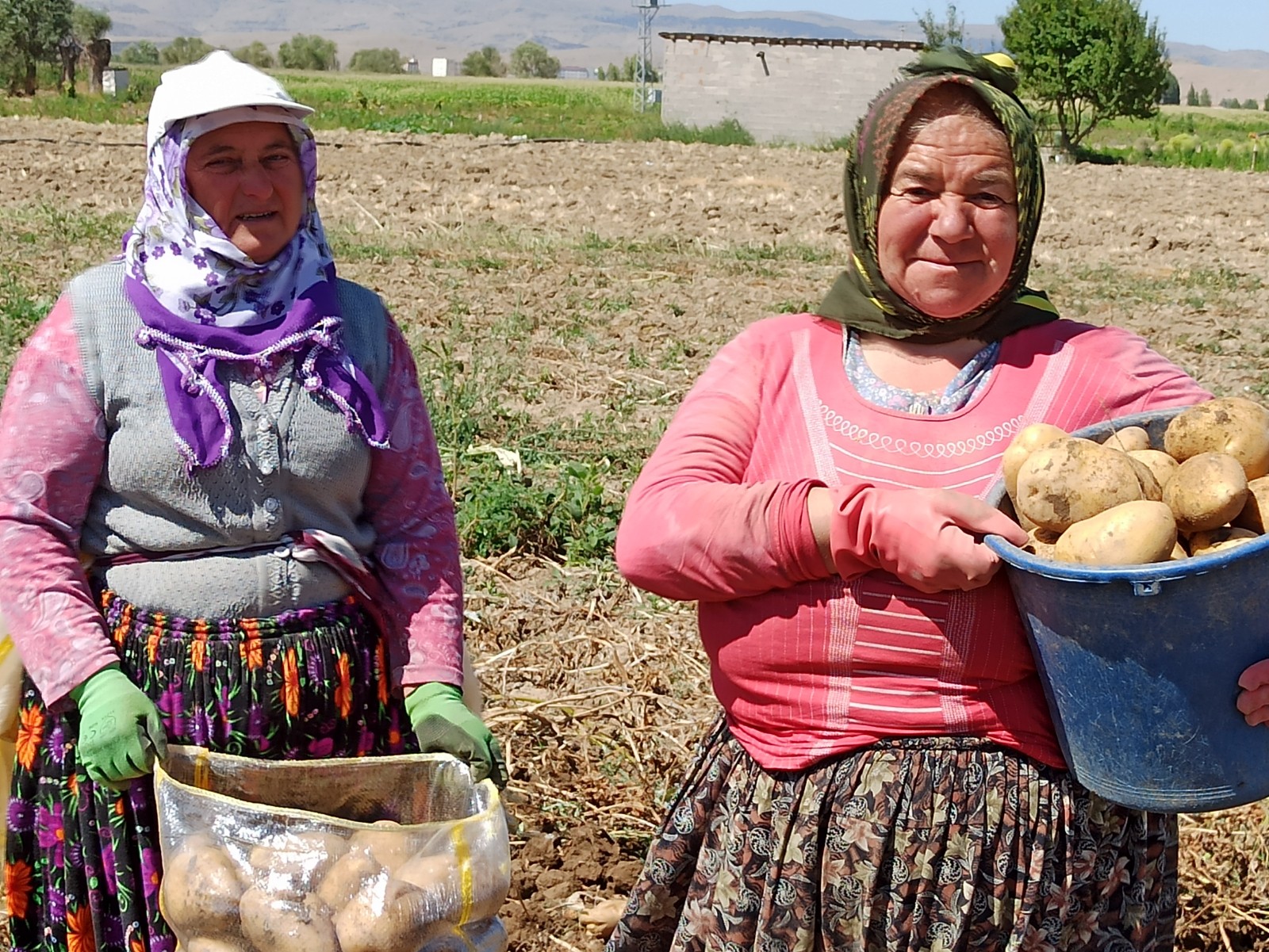 Patates Üreticilerinin İstekleri Ankara’da AK Partili Arslan Elini Taşın Altına Soktu