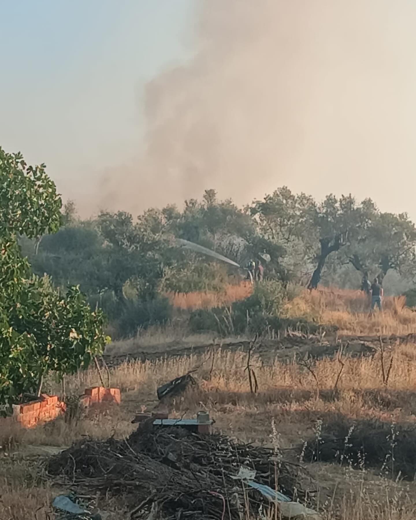 Afyonkarahisar İtfaiye Ekipleri İzmir'deki Orman Yangınında Çalışmalara Başladı