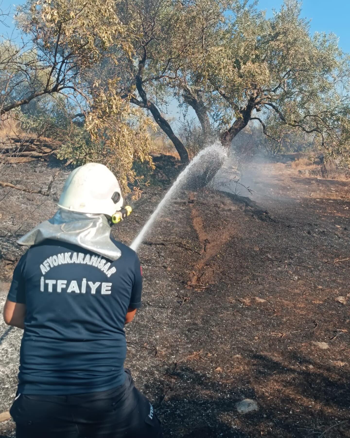 Afyonkarahisar İtfaiye Ekipleri İzmir'deki Orman Yangınında Çalışmalara Başladı