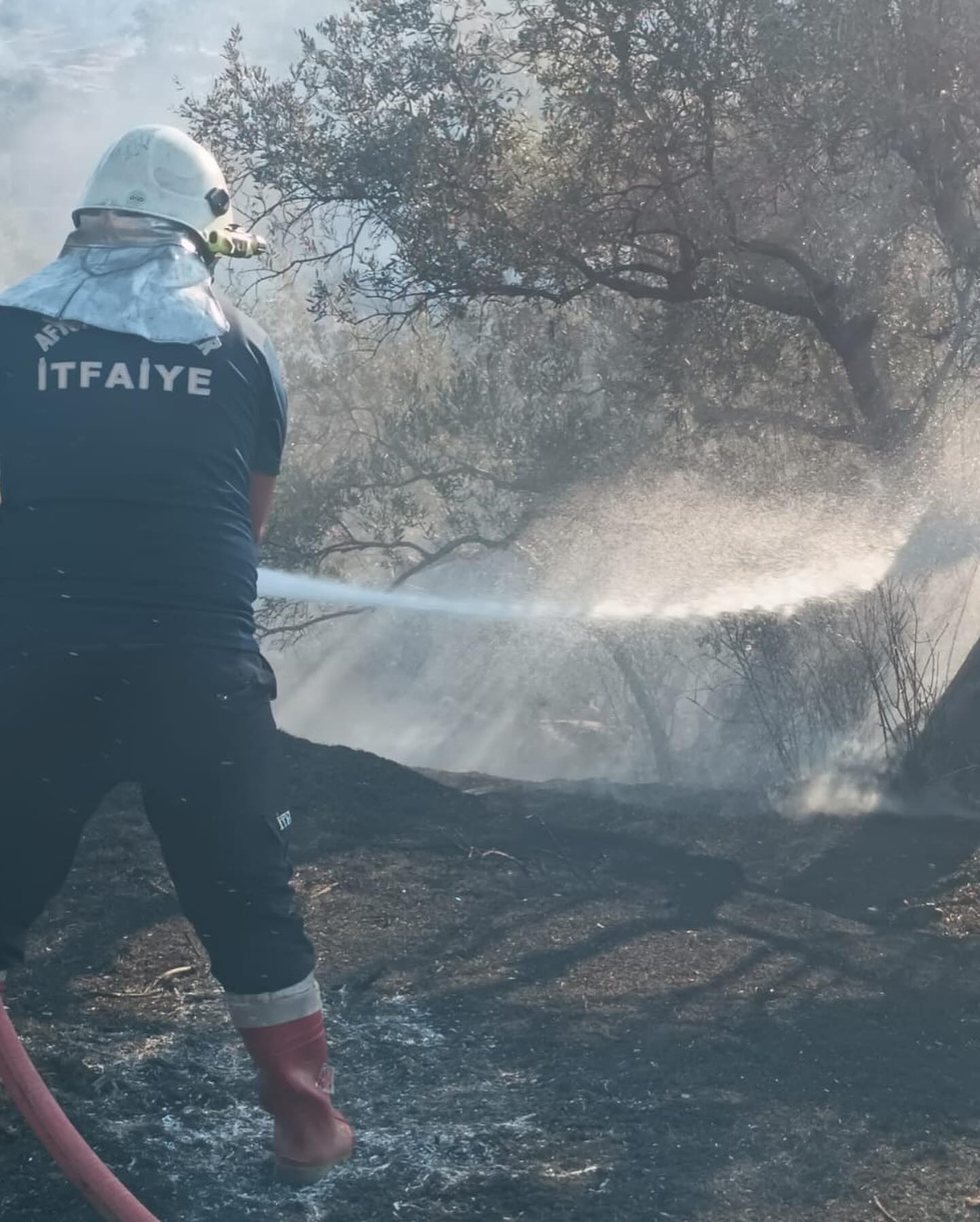 Afyonkarahisar İtfaiye Ekipleri İzmir'deki Orman Yangınında Çalışmalara Başladı