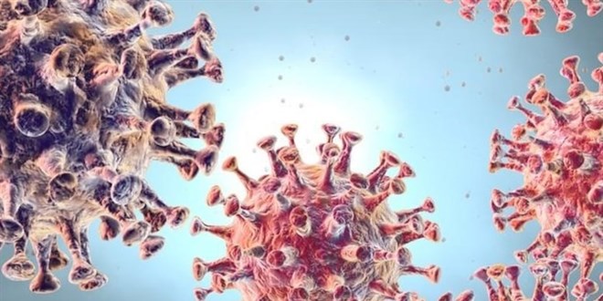 SAĞLIK BAKANLIĞI M-ÇİÇEĞİ (MPOX) REHBERİ YAYIMLADI