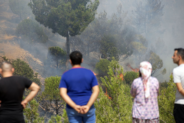 EGE ALEV ALEV YANIYOR