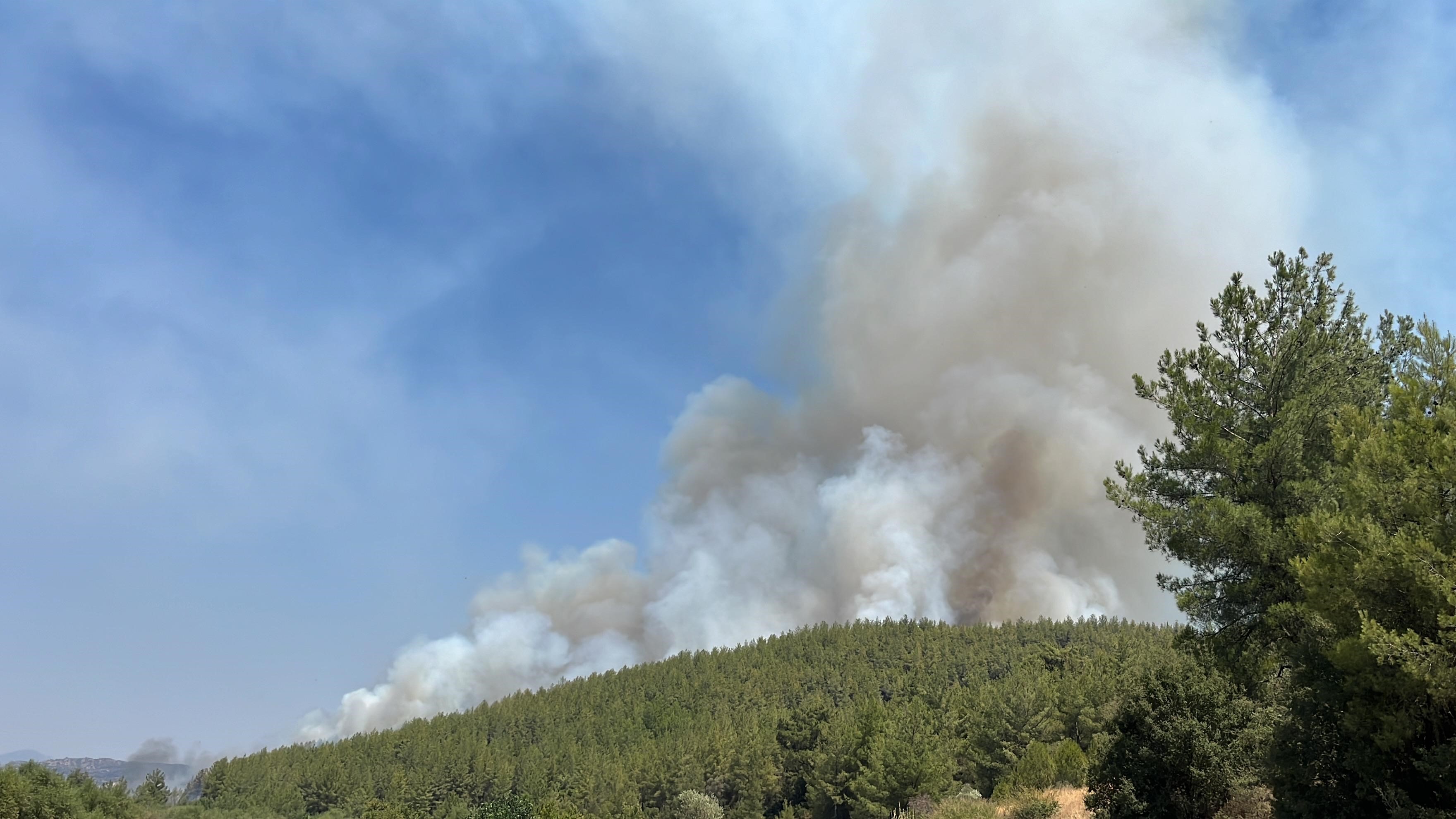 Muğla'da Orman Yangınları Devam Ediyor: 3 Köy İçin Boşaltma Kararı Alındı