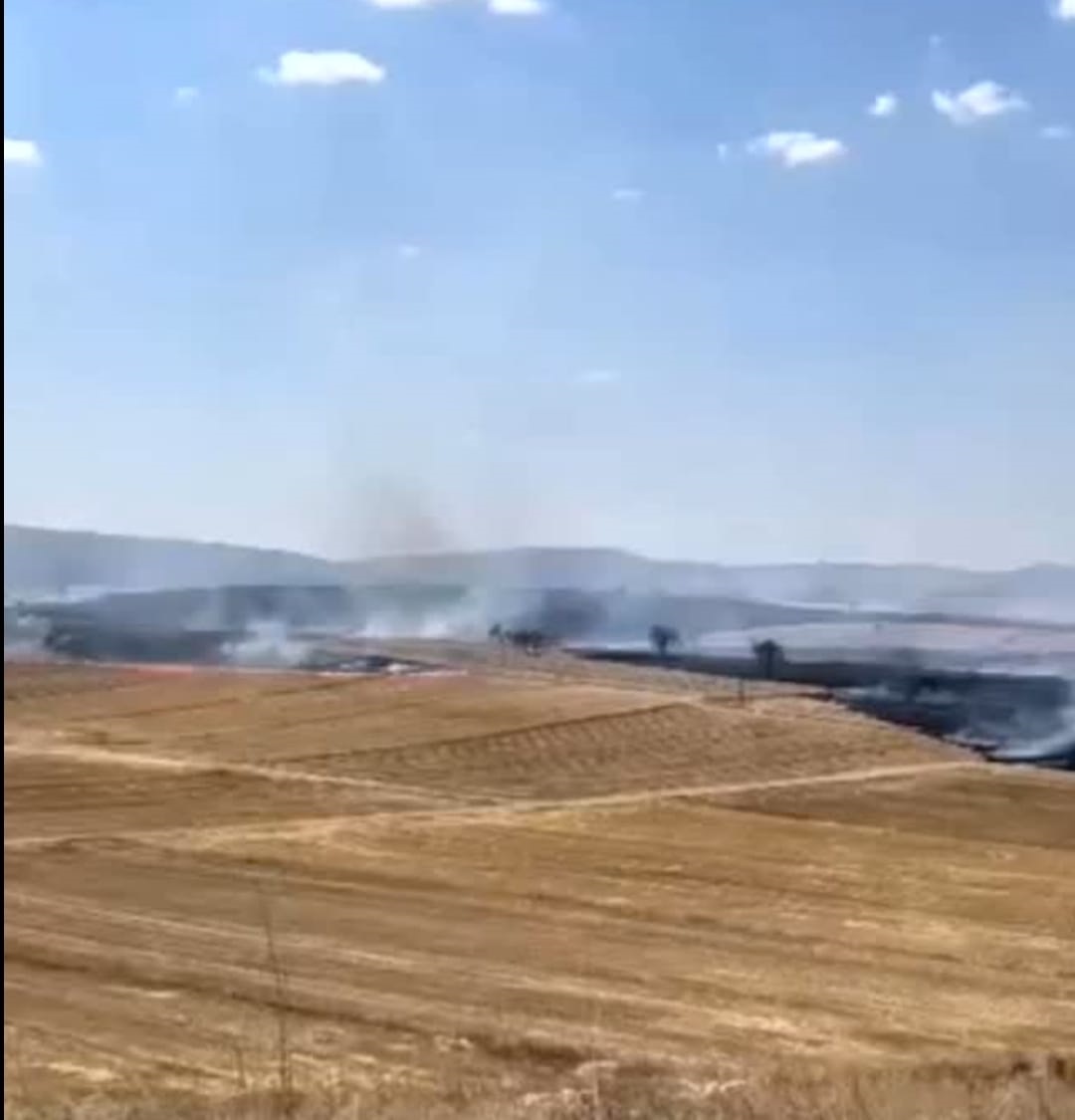 İhsaniye’den Dumanlar Yükseldi İşte Otluk Alanda Çıkan Yangın
