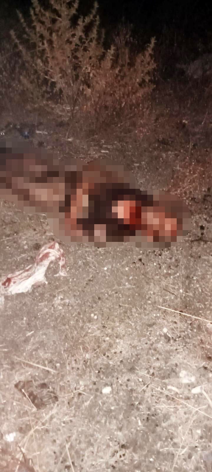 Zihinsel Engelli Adam Parçalanarak Öldürüldü!