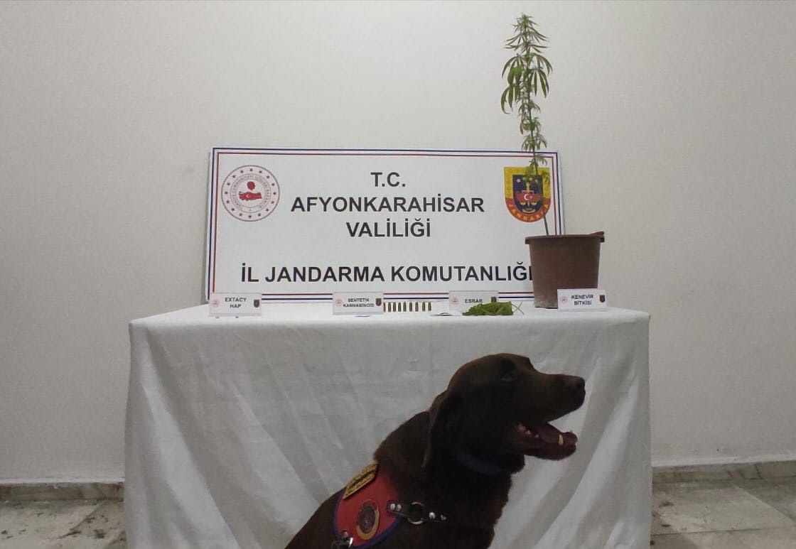 Kayıhan’da Jandarma Baskın Yaptı Kenevir Eken Şahıslar Yakalandı.