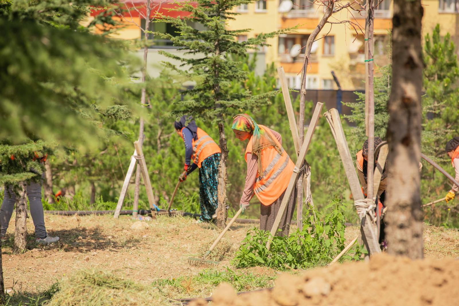 Millet Bahçesinde Hummalı Çalışma Ekipler Yoğun Mesai Harcıyor