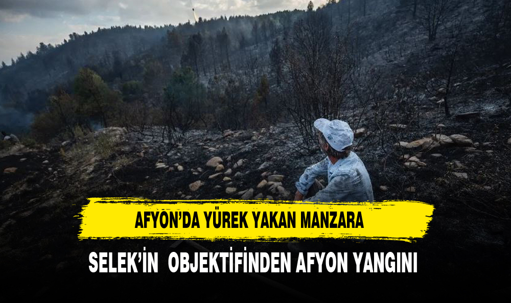 YÜREK YAKAN KARELER SELEK'İN OBJEKTİFİNDEN GELDİ