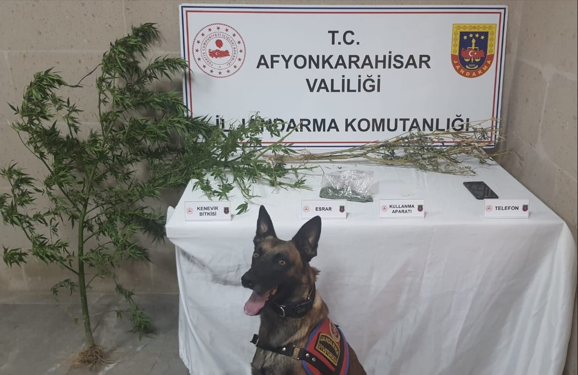 Jandarmadan Uyuşturucuya Geçit Yok!