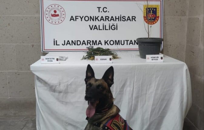 Jandarma’dan Yaylabağı Beldesine Baskın
