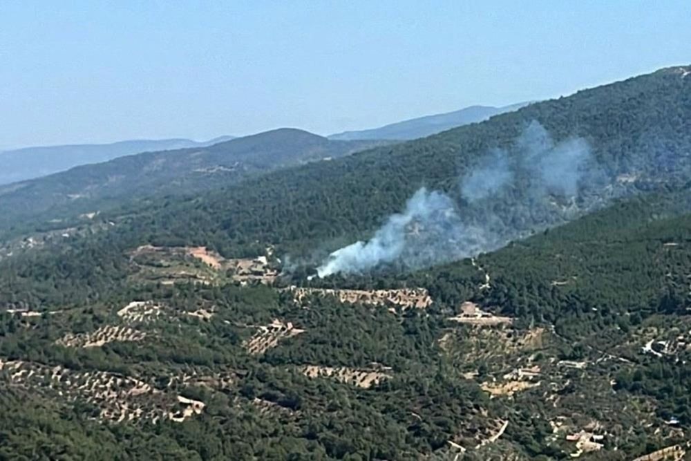 İzmir'de orman yangını: Ekipler müdahale ediyor