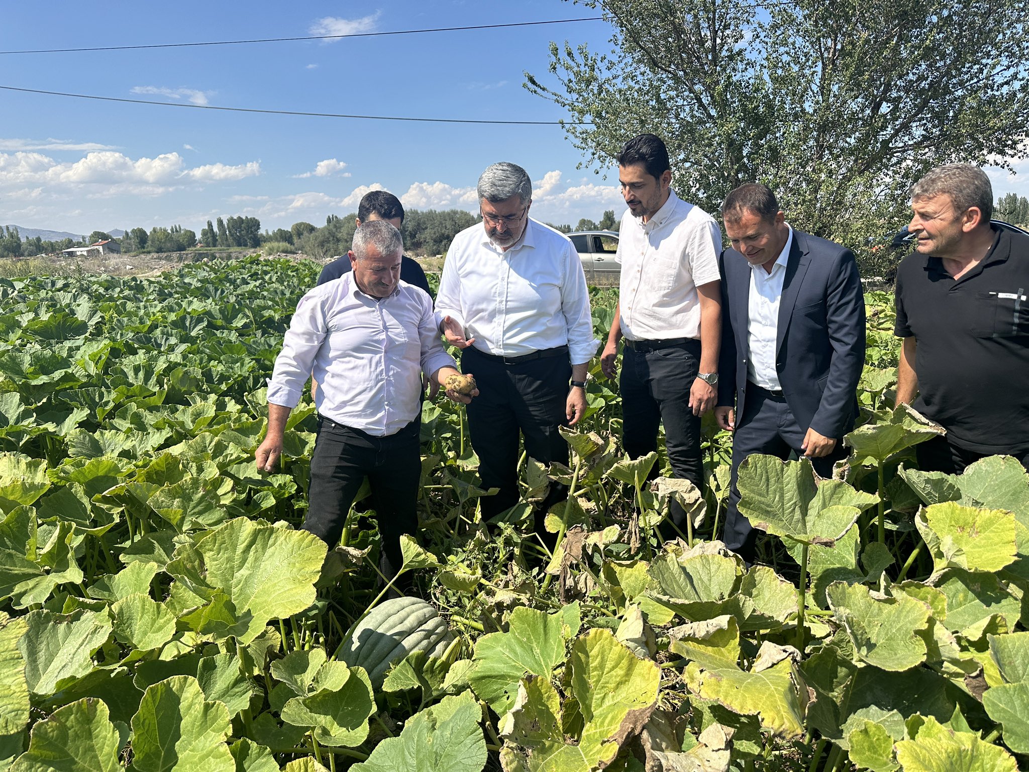 AK Partili Vekilin Tarlada İzi Harmanda Sözü Olmaya Devam Ediyor