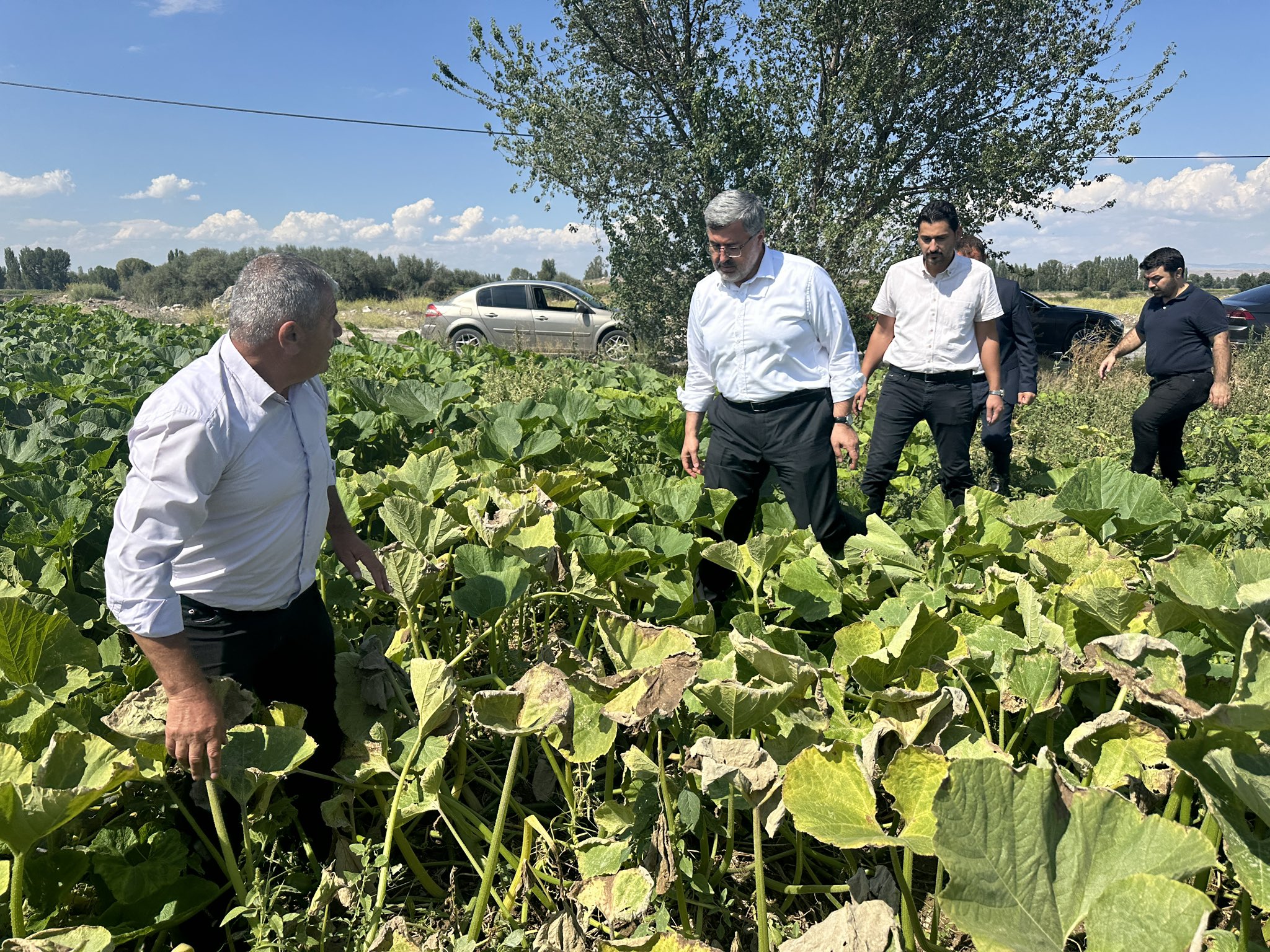 AK Partili Vekilin Tarlada İzi Harmanda Sözü Olmaya Devam Ediyor
